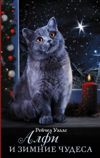 Обложка книги «Алфи и зимние чудеса»