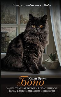 Обложка книги «Боно. Удивительная история спасенного кота, вдохновившего общество»