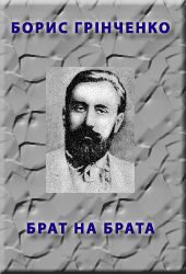 Обложка книги «Брат на брата»