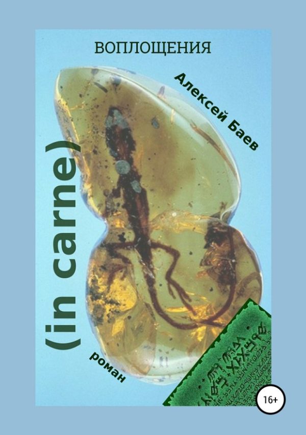 Обложка книги «In carne (СИ)»
