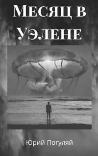 Обложка книги «Месяц в Уэлене»