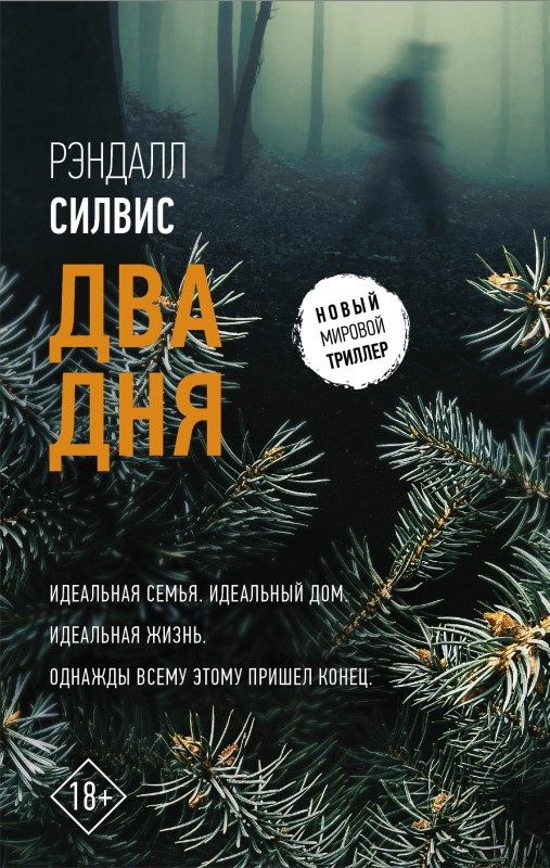 Обложка книги «Два дня»