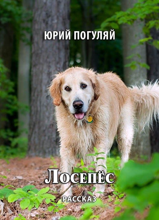 Обложка книги «Лосепёс»