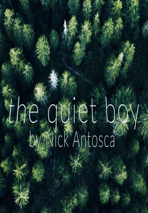 Обложка книги «The Quiet Boy»