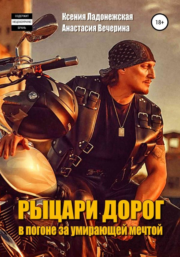 Обложка книги «Рыцари дорог: в погоне за умирающей мечтой»