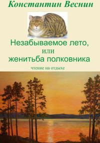 Обложка книги «Незабываемое лето, или Женитьба полковника»