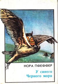 Обложка книги «У синего Черного моря»