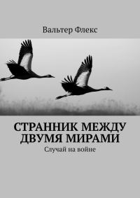 Обложка книги «Странник между двумя мирами»