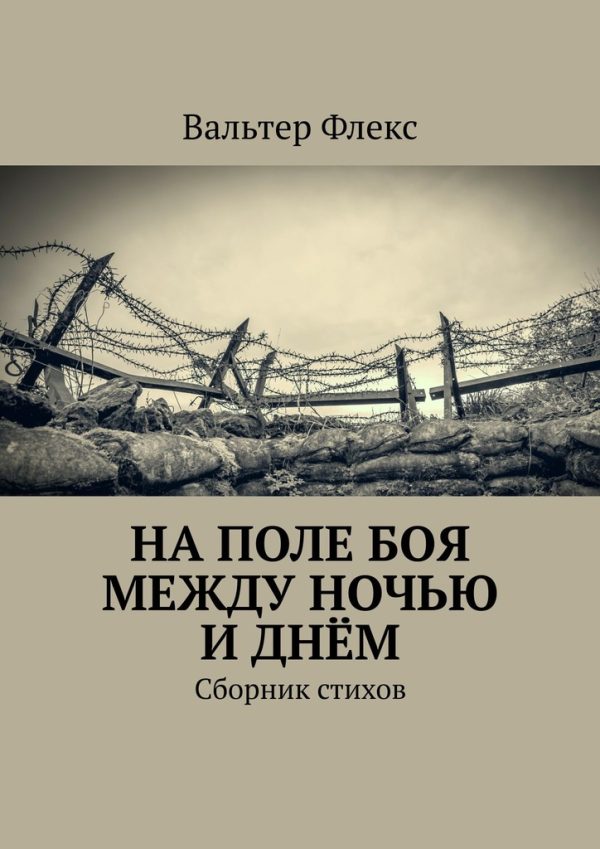 Обложка книги «На поле боя между ночью и днём»