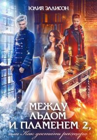 Обложка книги «Как достать ректора»