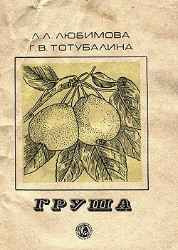 Обложка книги «Груша»