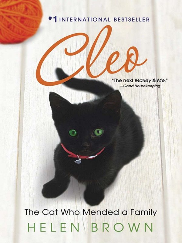 Обложка книги «Cleo»