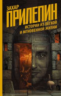 Обложка книги «Истории из лёгкой и мгновенной жизни»