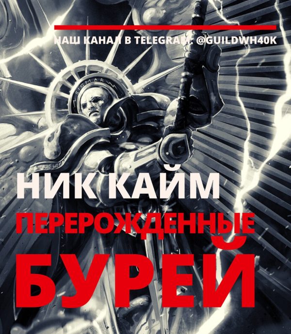 Обложка книги «Перерожденные бурей»