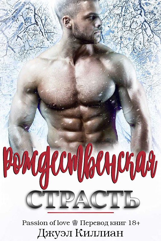 Обложка книги «Рождественская страсть»