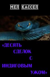 Обложка книги «Десять сделок с индиговым ужом»