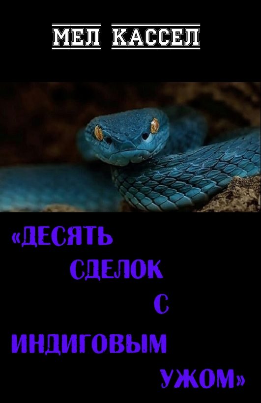 Обложка книги «Десять сделок с индиговым ужом»
