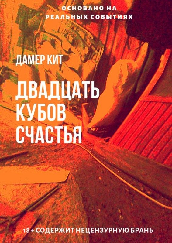 Обложка книги «Двадцать кубов счастья»