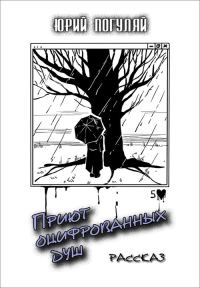 Обложка книги «Приют оцифрованных душ»