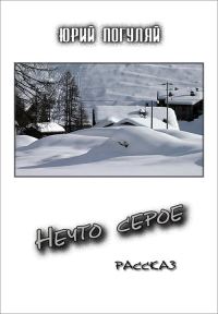 Обложка книги «Нечто серое»