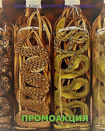 Обложка книги «Промоакция»