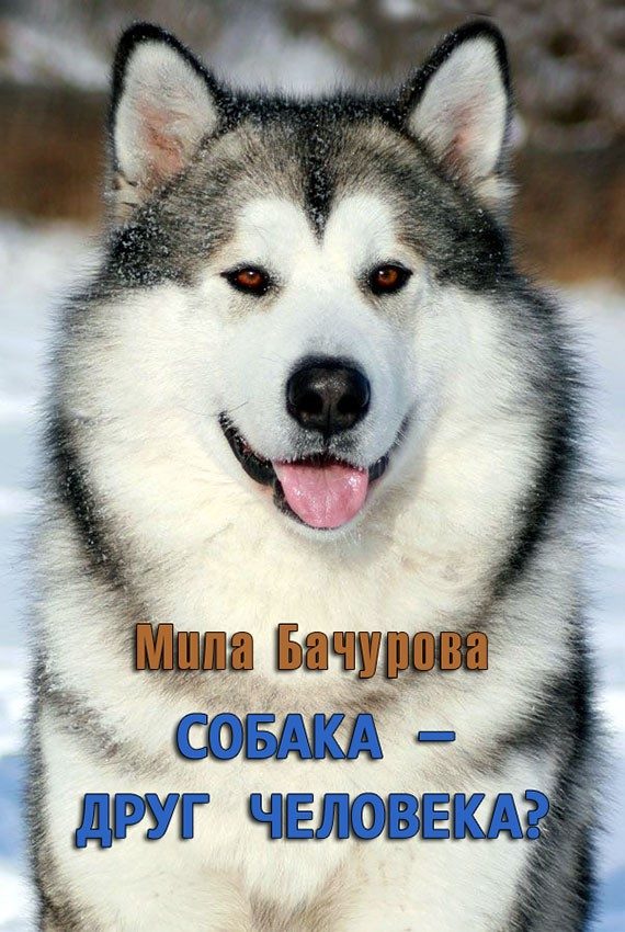 Обложка книги «Собака — друг человека?»