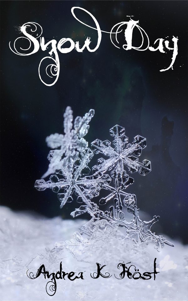 Обложка книги «Snow Day»