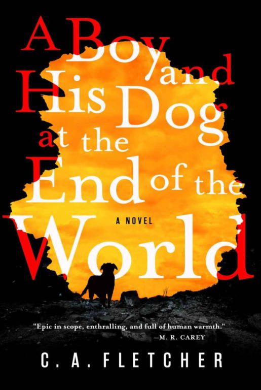 Обложка книги «A Boy and His Dog at the End of the World»