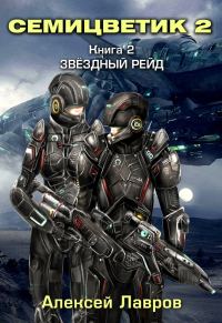 Обложка книги «Звёздный рейд»