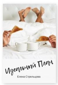 Обложка книги «Идеальный план»
