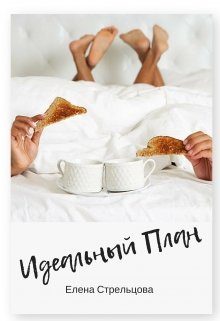 Обложка книги «Идеальный план»