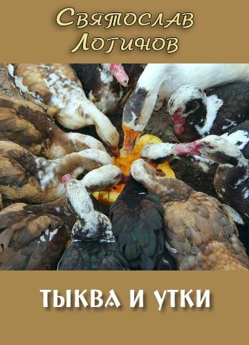 Обложка книги «Тыква и утки»