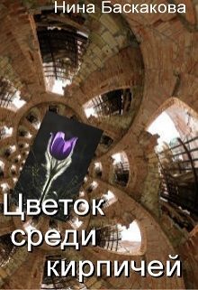 Обложка книги «Цветок среди кирпичей»