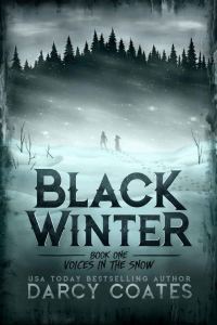 Обложка книги «Voices in the Snow»