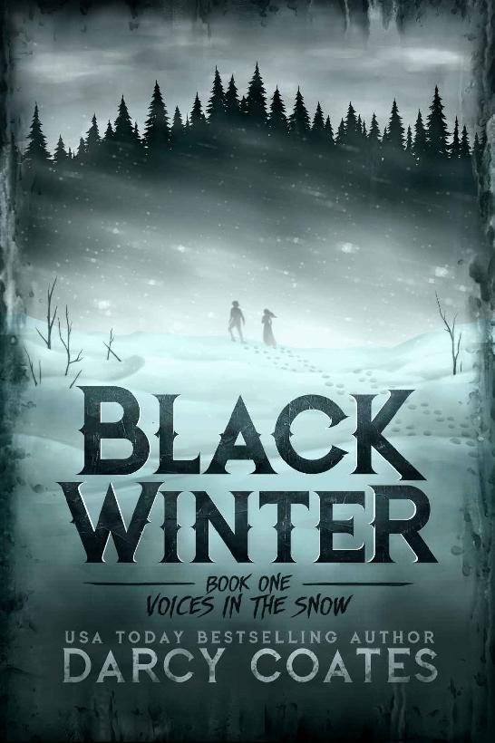 Обложка книги «Voices in the Snow»