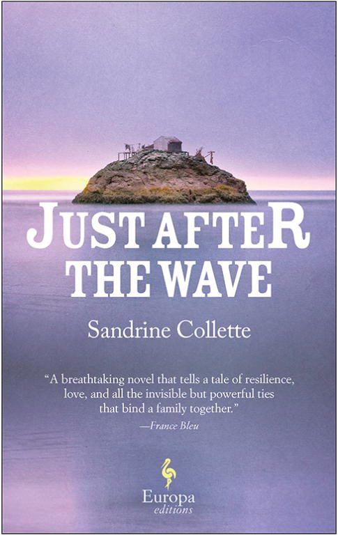 Обложка книги «Just After the Wave»