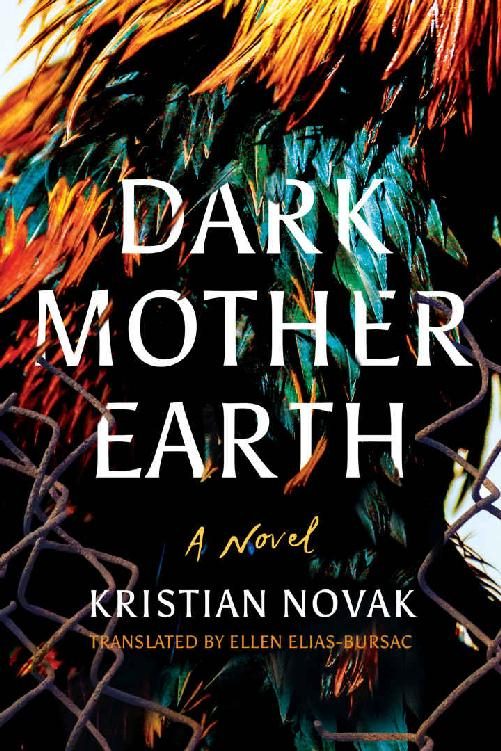 Обложка книги «Dark Mother Earth»