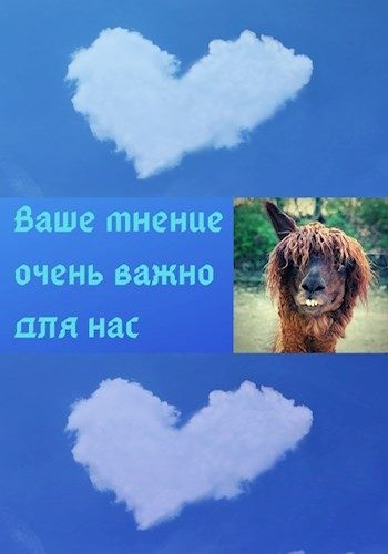 Обложка книги «Ваше мнение очень важно для нас»