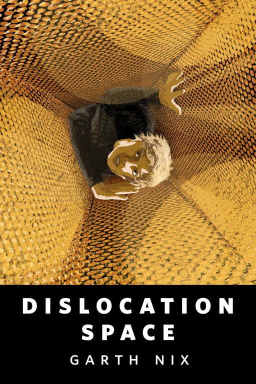 Обложка книги «Dislocation Space»