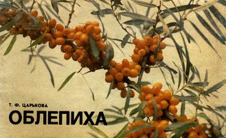 Обложка книги «Облепиха»