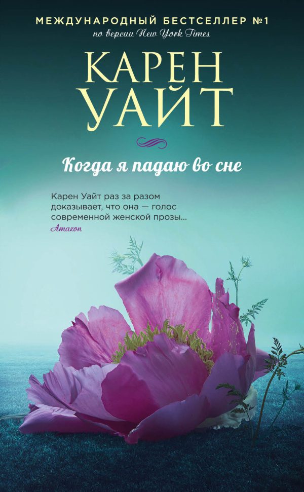 Обложка книги «Когда я падаю во сне»