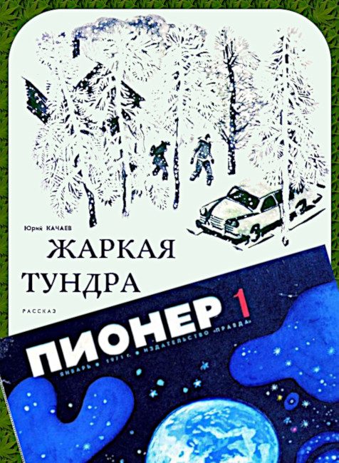 Обложка книги «Жаркая тундра»
