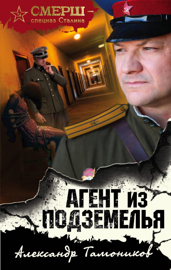 Обложка книги «Агент из подземелья»