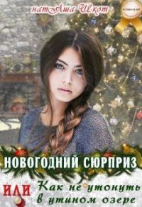 Обложка книги «Новогодний сюрприз или, Как не утонуть в утином озере»