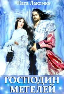 Обложка книги «Господин метелей»