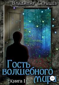 Обложка книги «Гость волшебного мира. Книга 1: Незнакомец (СИ)»