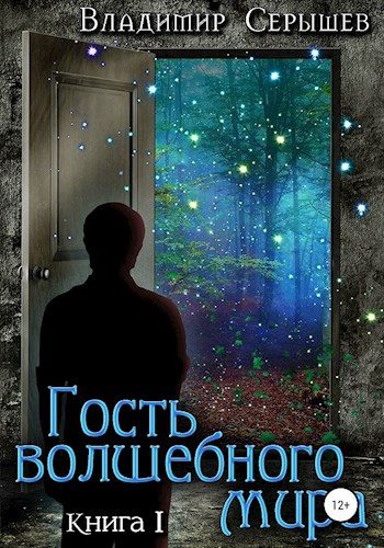 Обложка книги «Гость волшебного мира. Книга 1: Незнакомец (СИ)»