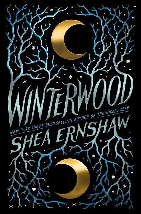 Обложка книги «Winterwood»