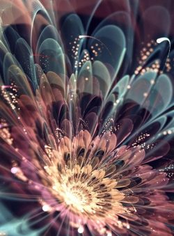 Обложка книги «Дело о демонах высших сфер»