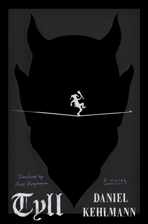 Обложка книги «Tyll»